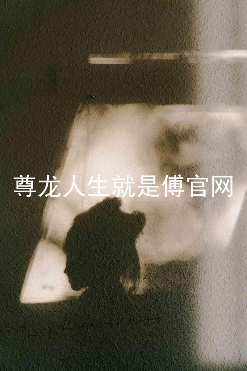 尊龙人生就是傅官网