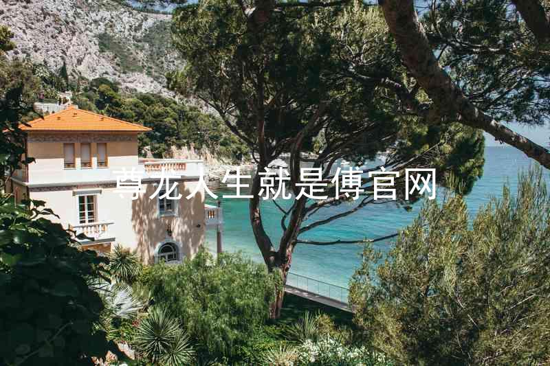 尊龙人生就是傅官网