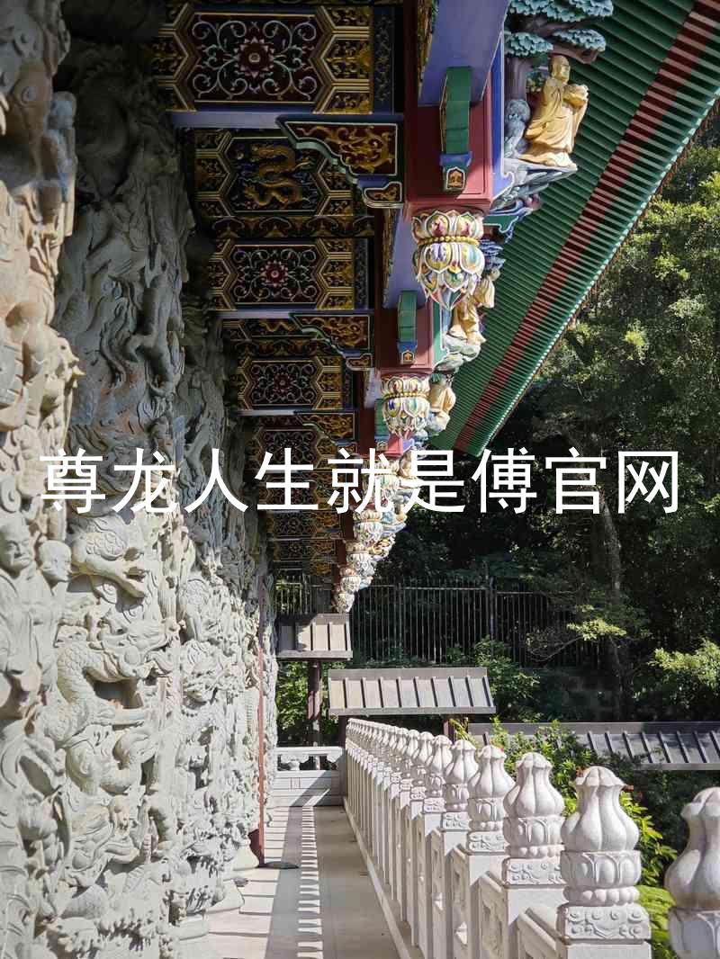 尊龙人生就是傅官网