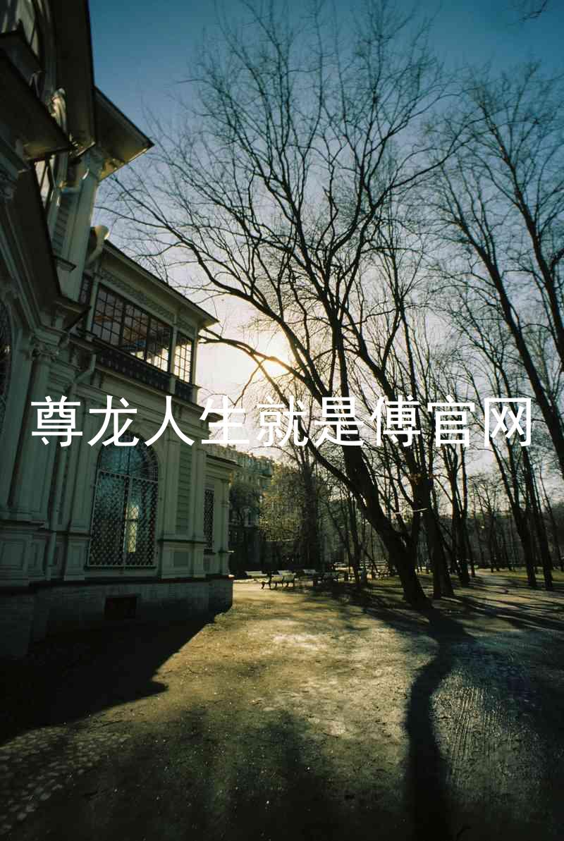 尊龙人生就是傅官网
