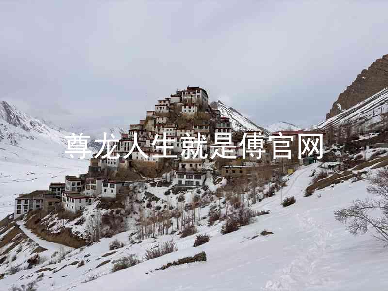 尊龙人生就是傅官网