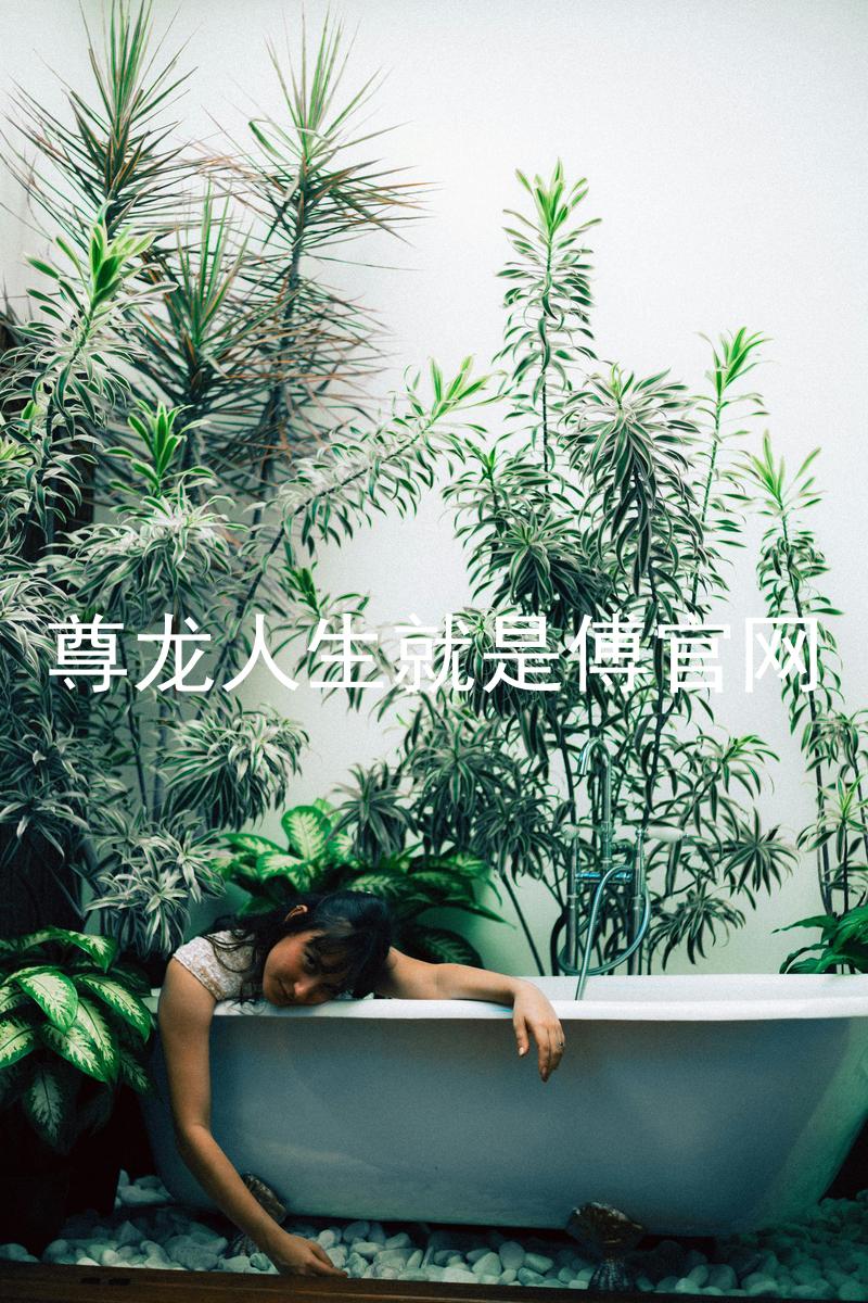 尊龙人生就是傅官网